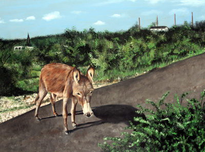 "ANGUILLA DONKEY" 18X24 OIL