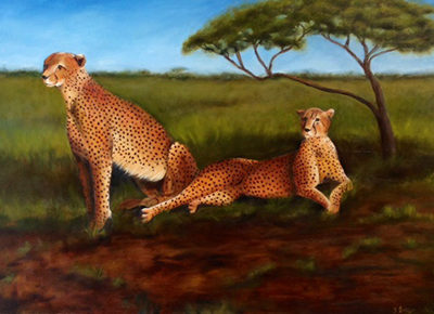 Tanzania safari- cheetahs Oil on Linen 36x24