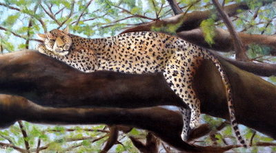 Tanzania Safari Leopard, 12x24 oil on linen