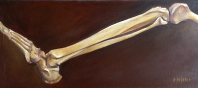 CADAVER 10x24 Oil on Linen